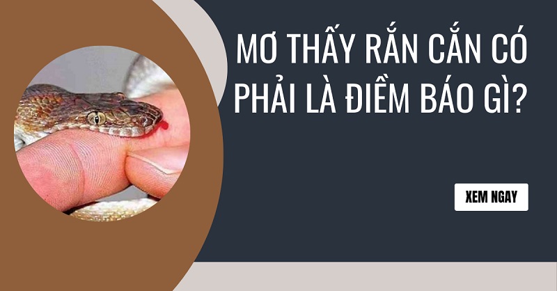 mơ thấy rắn 